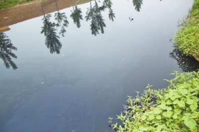 排污口處的河水 排污口處的河水