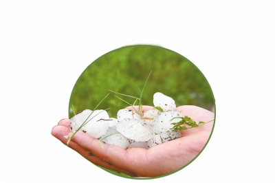 冰雹化了一些,還有這么大。