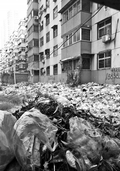 透過擋板縫向內(nèi)看，30多米垃圾已經(jīng)將居民樓包圍。