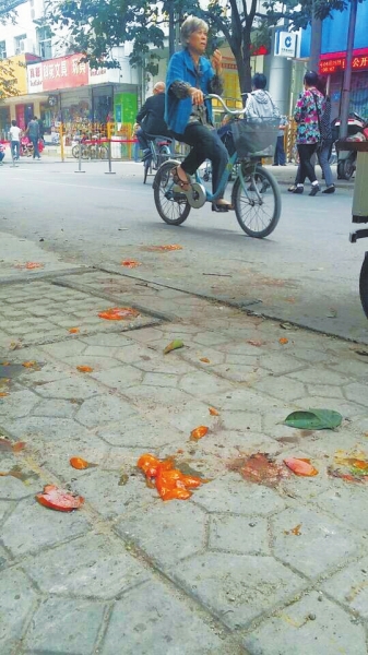 爛了一地的柿子影響市容，還常?；谷恕? width=