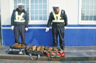 民警查獲的乘客行李包中，裝的全是獼猴。