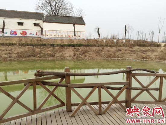 護欄損毀的地方，已經(jīng)被兩根樹干擋住。