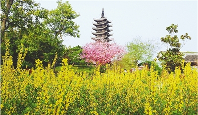 綠博園盛開的鮮花“期待”和市民“約會(huì)”。