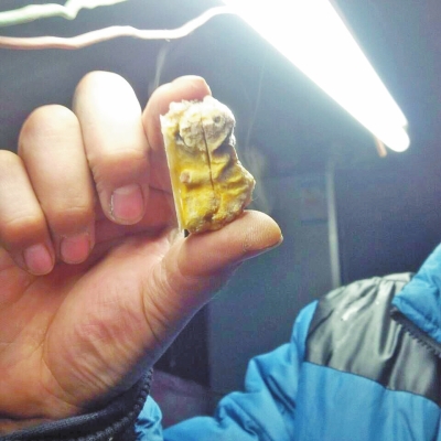 男子殺只弱公雞發(fā)現(xiàn)金黃肉疙瘩 疑為高價(jià)“雞寶” 男子殺只弱公雞發(fā)現(xiàn)金黃肉疙瘩 疑為高價(jià)“雞寶”