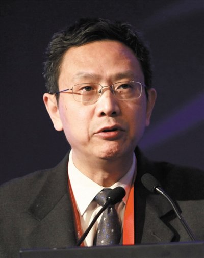 財(cái)政部財(cái)政科學(xué)研究所所長賈康。圖/CFP