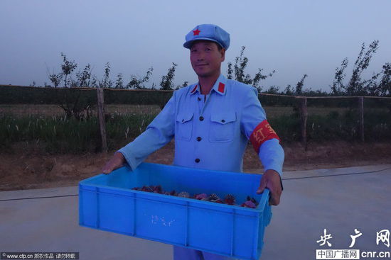 河南一農(nóng)場(chǎng)近百名員工著紅軍裝上班 河南一農(nóng)場(chǎng)近百名員工著紅軍裝上班