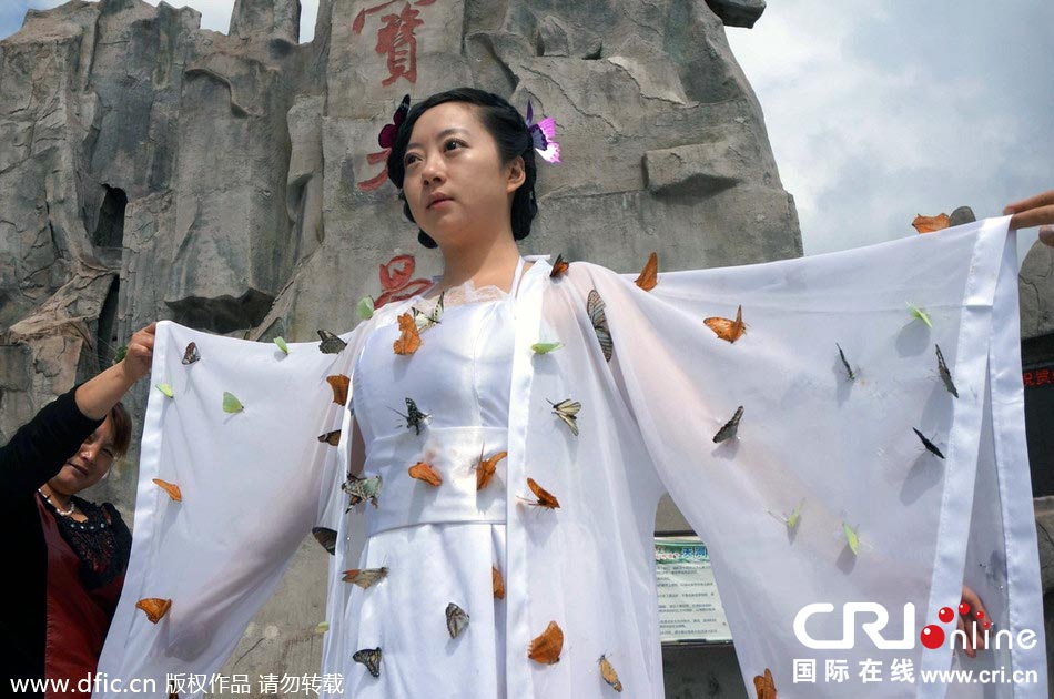 “蝴蝶仙子”身穿上百只剛剛扎死的蝴蝶。圖片來源：老祝/東方IC