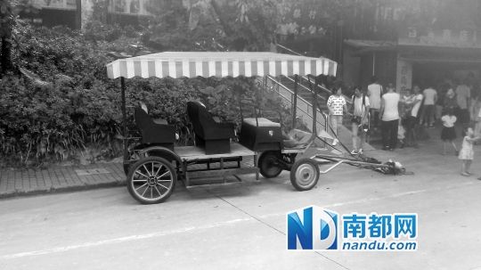 園方則稱解剖后發(fā)現(xiàn)馬死于心臟衰竭，“與累無關(guān)”。