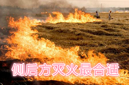 不要在風(fēng)頭上打火：風(fēng)正大，火正旺，最容易傷人；