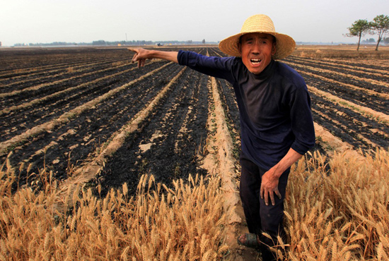 河南省滑縣、內(nèi)黃縣麥田著火，麥壟套種的花生、玉米苗也被烤焦，群眾損失慘重