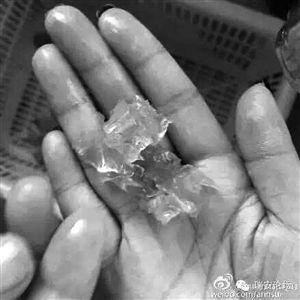 溫州市民買到“注膠蝦”業(yè)內人稱為增加重量 溫州市民買到“注膠蝦”業(yè)內人稱為增加重量