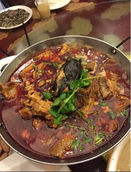 重慶一酒樓結婚酒宴菜里驚現(xiàn)整只老鼠(圖)