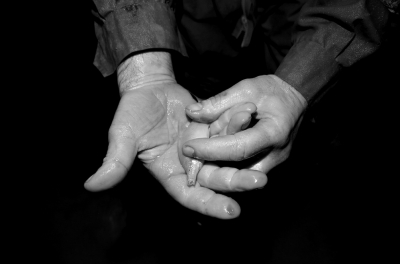 圖為科考人員發(fā)現(xiàn)的洞穴動物（3月2日攝）。