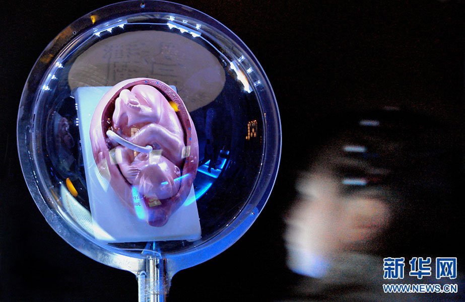 一名小學生在鄭州科技館內(nèi)參觀介紹遺傳、生育等知識的“奇幻生命之旅”展覽（2007年2月18日攝）。