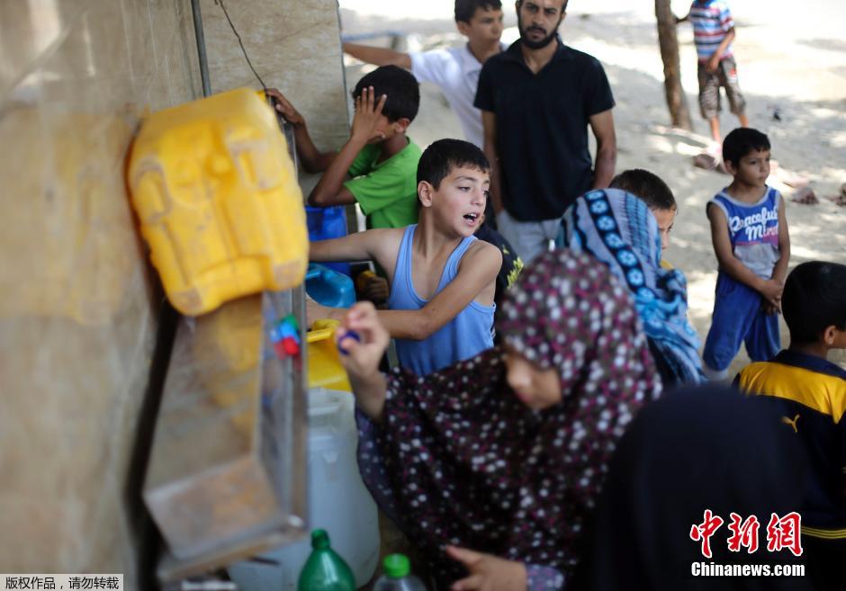 以色列對加沙發(fā)動地面進攻 民眾攜羊群逃難 以色列對加沙發(fā)動地面進攻 民眾攜羊群逃難