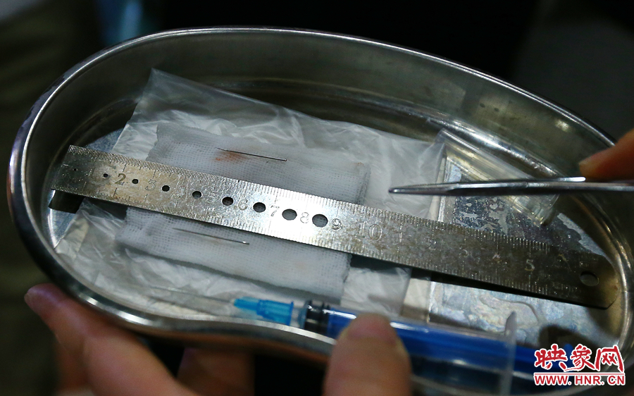 大龍顱內(nèi)取出的鋼針（上）和小龍顱內(nèi)的一樣（下），均為2.5厘米