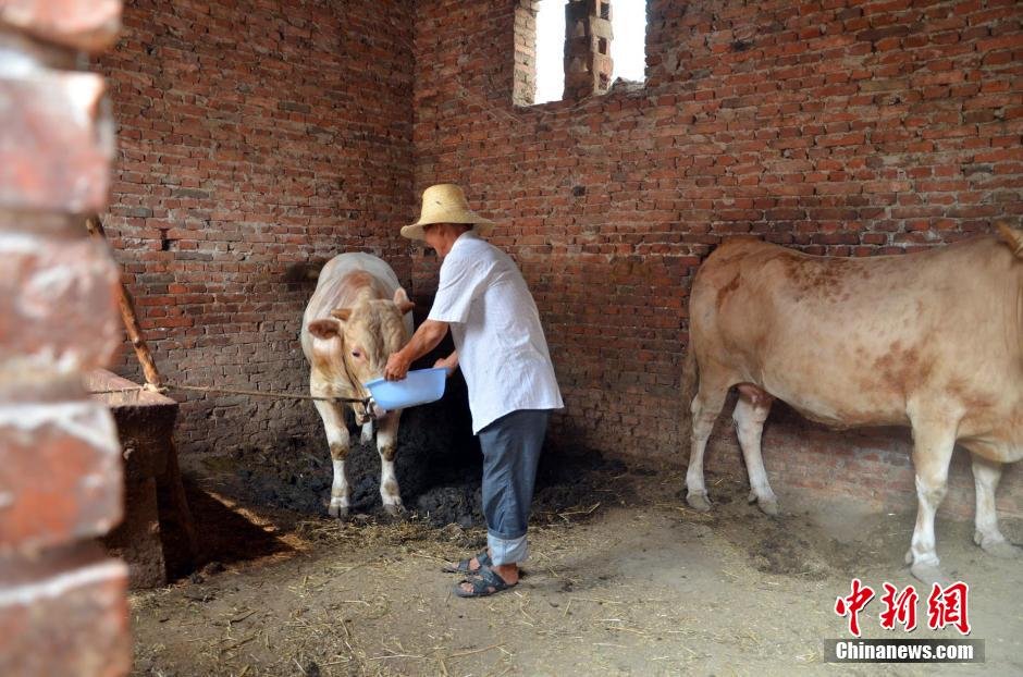 同時，地下水位的持續(xù)下降以及部分山泉水的干涸，已造成全縣2.85萬人和2000頭大牲畜出現(xiàn)飲水困難。