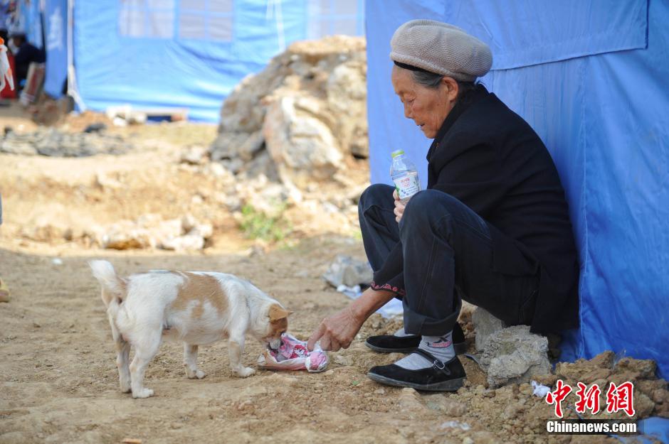 8月6日，一名老人將剛領(lǐng)到的礦泉水分給小狗。