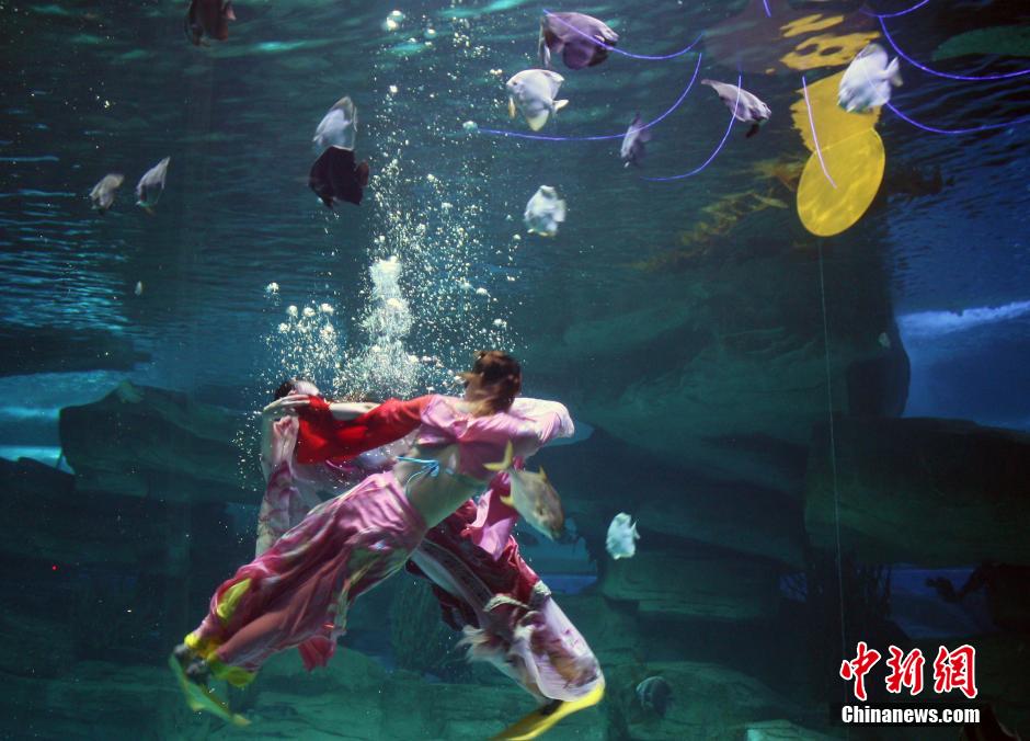 9月7日，在中秋節(jié)到來前一天，山東泉城海洋極地世界為游客帶來“嫦娥水中奔月”表演。