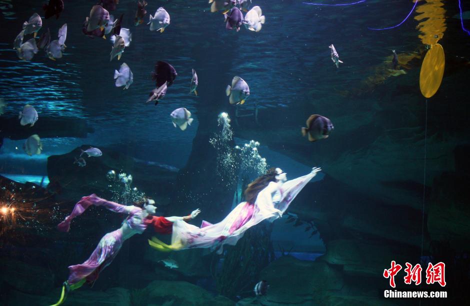 9月7日，在中秋節(jié)到來前一天，山東泉城海洋極地世界為游客帶來“嫦娥水中奔月”表演。