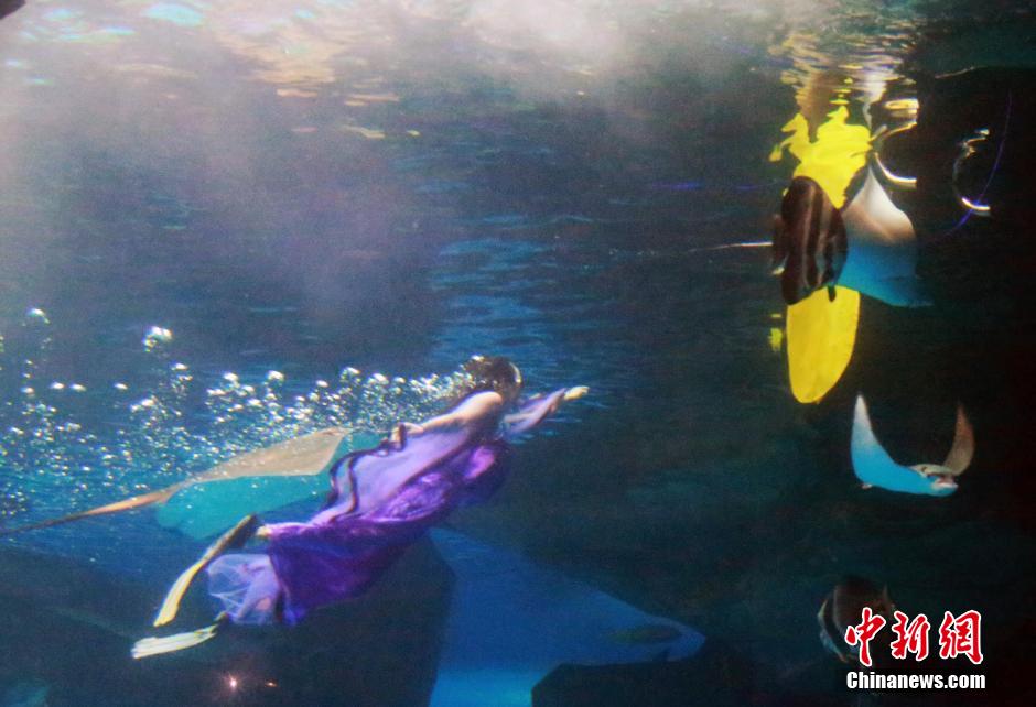 9月7日，在中秋節(jié)到來前一天，山東泉城海洋極地世界為游客帶來“嫦娥水中奔月”表演。