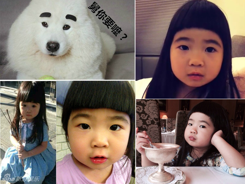 不小心就撞臉了！盤點(diǎn)動(dòng)物界的明星相