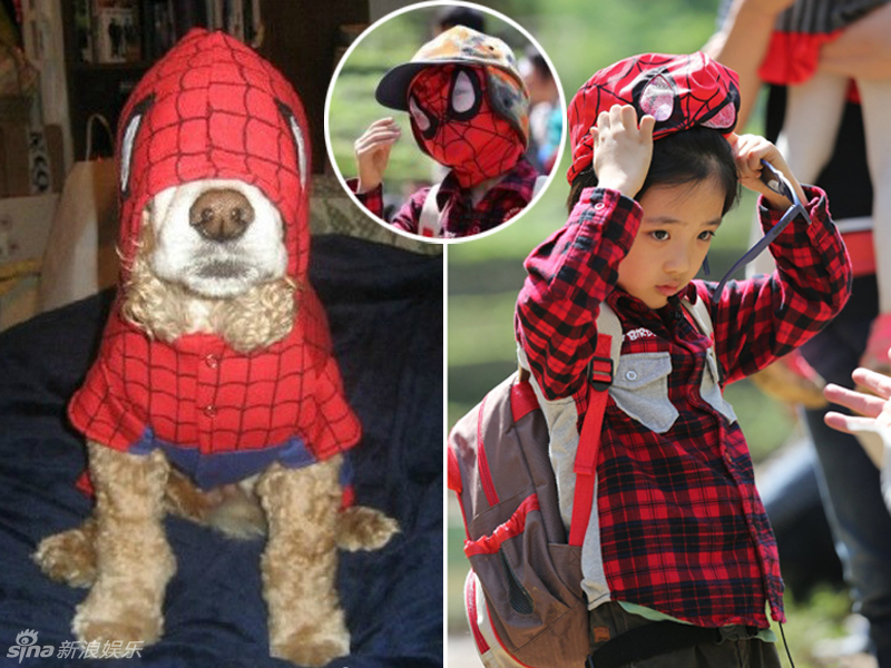 不小心就撞臉了！盤點(diǎn)動(dòng)物界的明星相