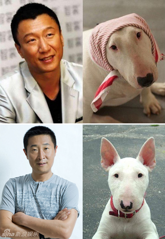 不小心就撞臉了！盤點(diǎn)動(dòng)物界的明星相