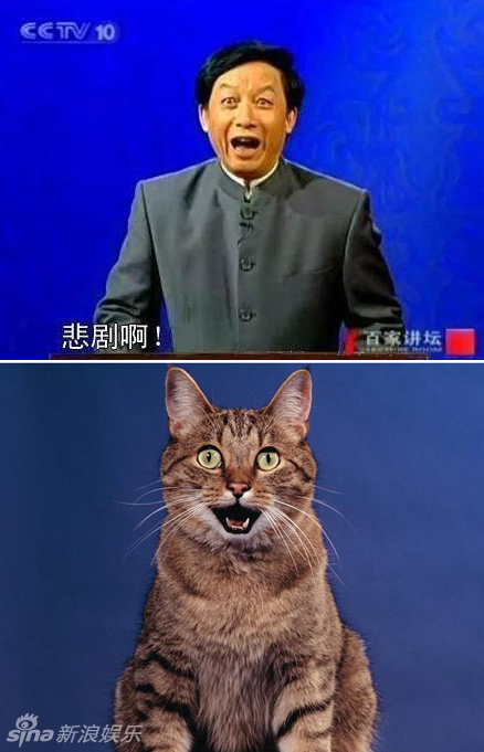 不小心就撞臉了！盤點(diǎn)動(dòng)物界的明星相