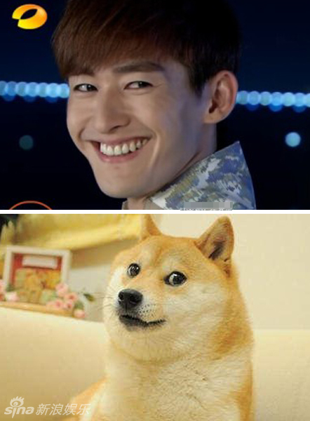 不小心就撞臉了！盤點(diǎn)動(dòng)物界的明星相