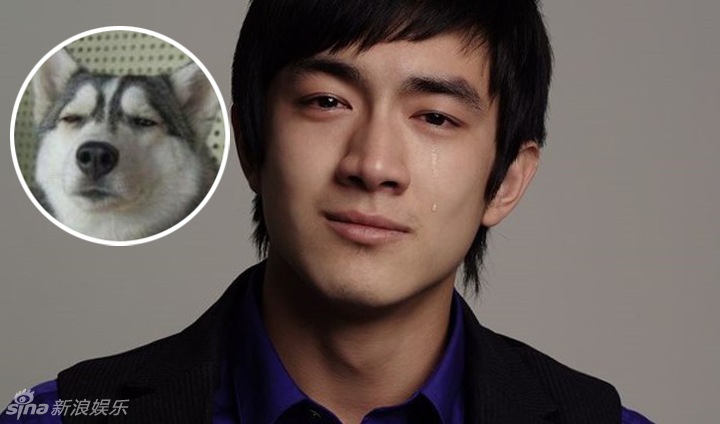 不小心就撞臉了！盤點(diǎn)動(dòng)物界的明星相