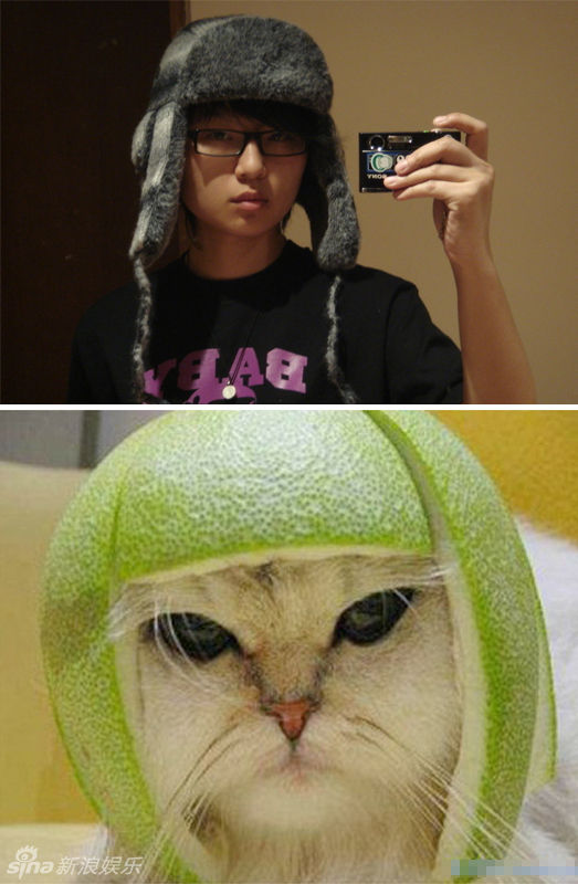 不小心就撞臉了！盤點(diǎn)動(dòng)物界的明星相