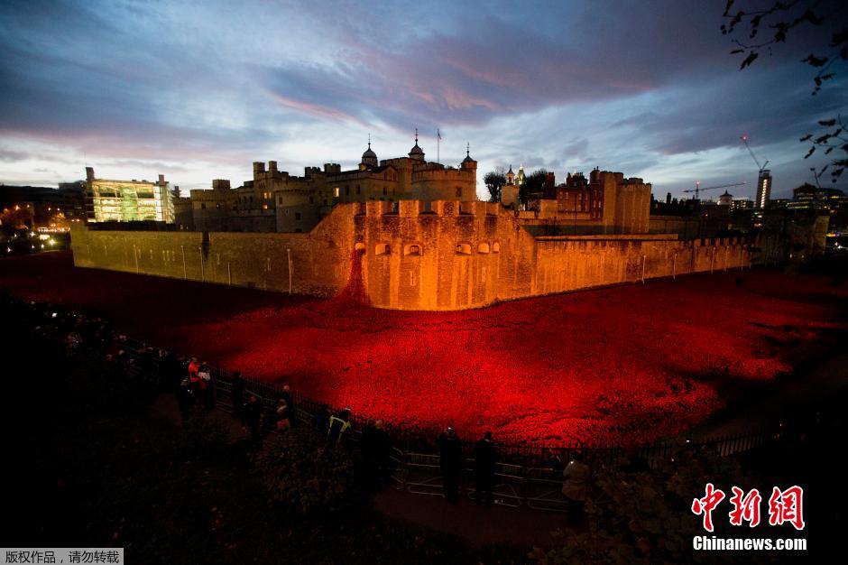 當(dāng)?shù)貢r(shí)間2014年11月10日，英國(guó)倫敦，倫敦塔周邊“種植”了888246朵陶瓷材質(zhì)的罌粟花，以此紀(jì)