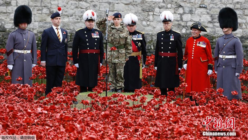 當(dāng)?shù)貢r(shí)間2014年11月10日，英國(guó)倫敦，倫敦塔周邊“種植”了888246朵陶瓷材質(zhì)的罌粟花，以此紀(jì)