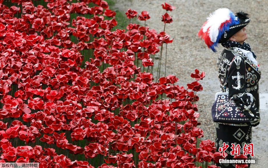 當(dāng)?shù)貢r(shí)間2014年11月10日，英國(guó)倫敦，倫敦塔周邊“種植”了888246朵陶瓷材質(zhì)的罌粟花，以此紀(jì)