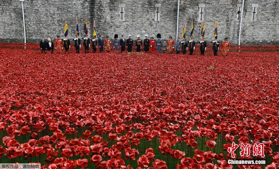 當(dāng)?shù)貢r(shí)間2014年11月10日，英國(guó)倫敦，倫敦塔周邊“種植”了888246朵陶瓷材質(zhì)的罌粟花，以此紀(jì)