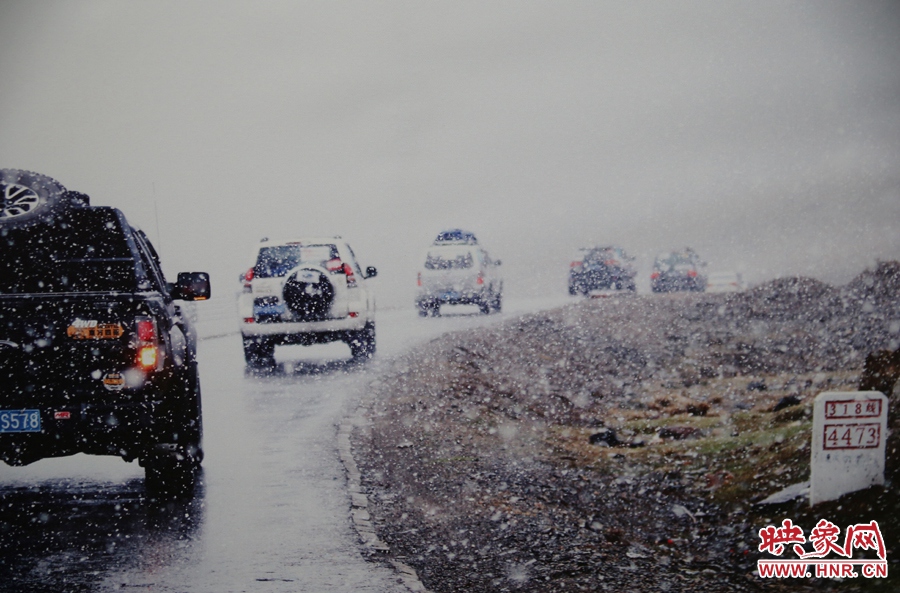 賽車的世界、更是男人的世界。圖為部分參展攝影作品。