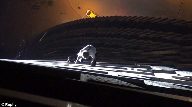 法國“蜘蛛人”夜攀世界最高扭曲大廈場面驚險 法國“蜘蛛人”夜攀世界最高扭曲大廈場面驚險