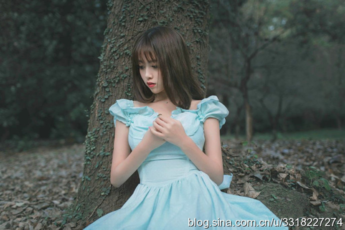 民航大學(xué)最美?；ㄋ秸掌毓? width=