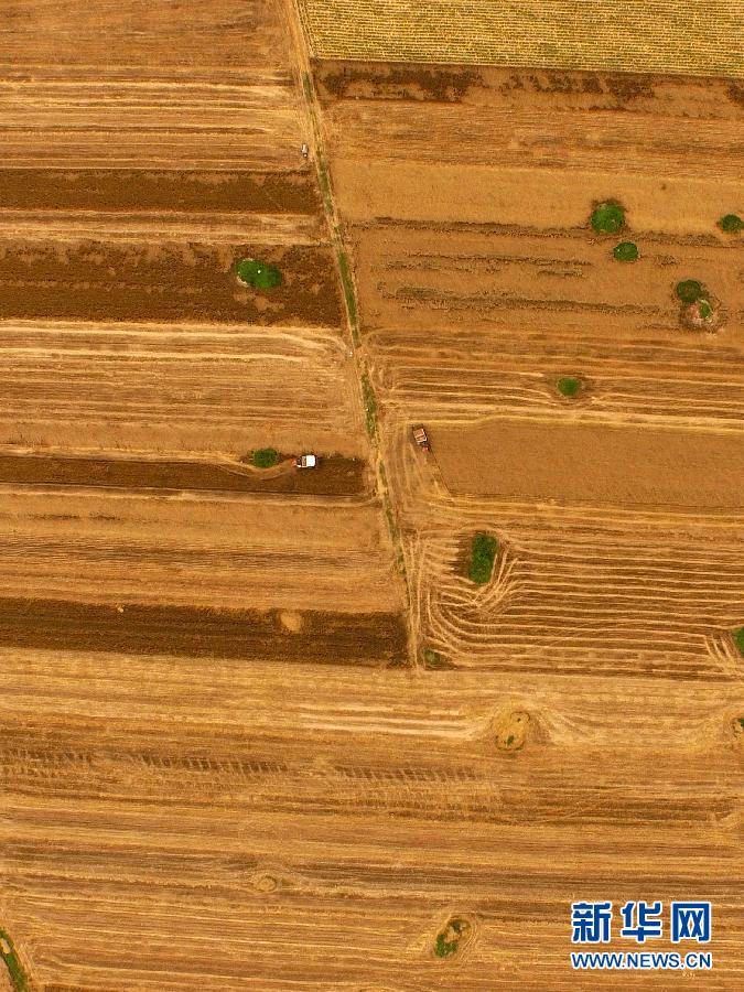 這是5月28日在河南省南陽市唐河縣甘河灣村航拍的麥?zhǔn)宅F(xiàn)場(chǎng)。