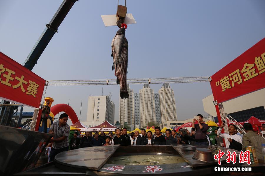 起重機(jī)吊起161.2斤魚王下鍋。 圖片來源：CFP視覺中國