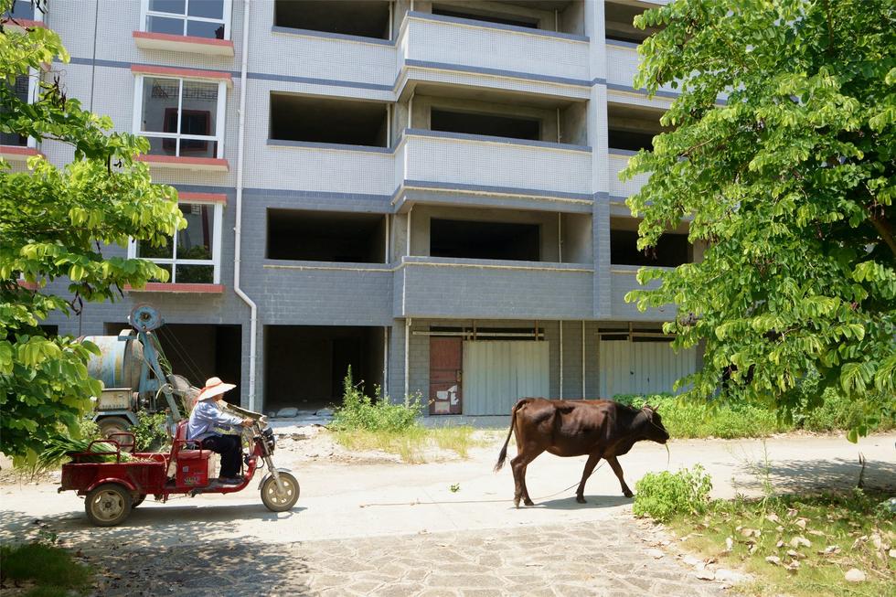 2016年7月26日，村民在廣西來(lái)賓市忻城縣隆達(dá)山水福城荒廢別墅間放牛。