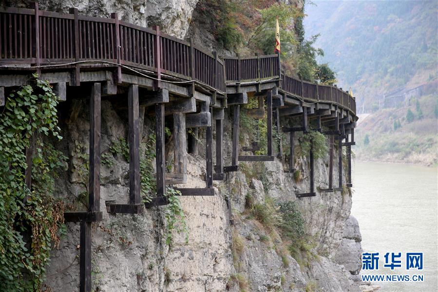 (社會(huì))(11)西成高鐵連起川陜“后花園” (社會(huì))(11)西成高鐵連起川陜“后花園”