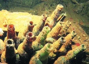 長(zhǎng)滿水藻的日本清酒瓶。