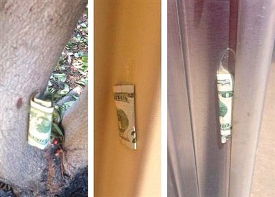 “隱藏的鈔票”會被神秘人藏在公園、廁所等“奇怪的地方”。