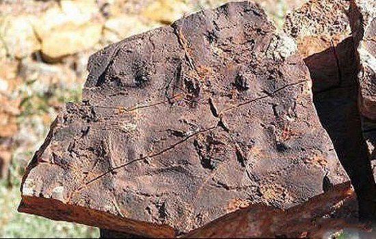 西澳發(fā)現(xiàn)地球古老生命:散發(fā)臭雞蛋味道的細(xì)菌 西澳發(fā)現(xiàn)地球古老生命:散發(fā)臭雞蛋味道的細(xì)菌