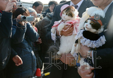 圖為粉絲們簇?fù)碇鞍⒂瘛闭鹃L(zhǎng)（右）。左側(cè)為其部下“二玉”。