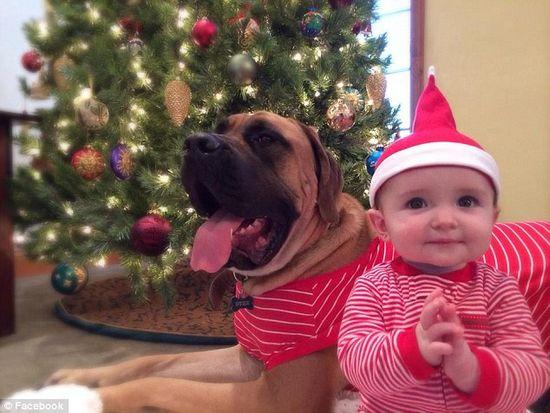 圖為美國2歲大的寵物犬與主人9個月大的女嬰。圖片來源：臉譜網(wǎng)站（Facebook）。