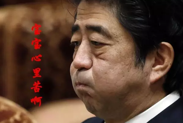 這種看安倍“熱鬧”的事兒，環(huán)環(huán)絕不私藏，一定雨露均沾!