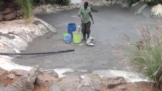 穆克的養(yǎng)殖場，鱷視眈眈下的工作人員。